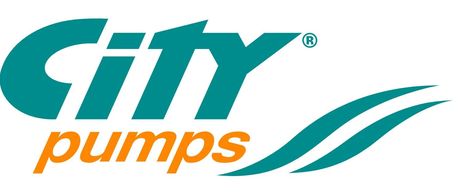 CITY PUMPS